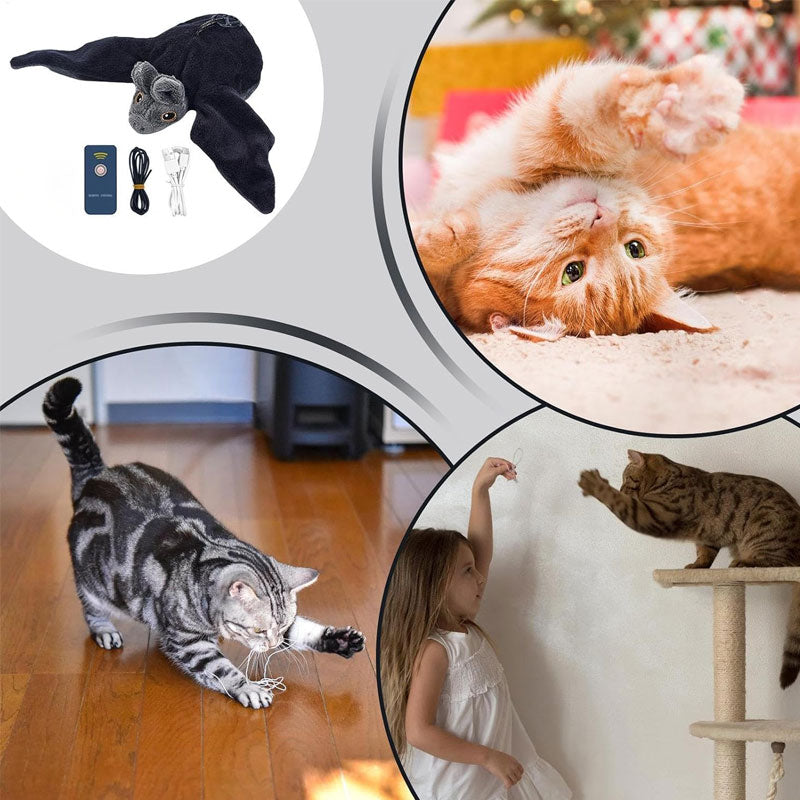 🦇 Remote Control Plush Bat Cat Toy – Rechargeable Interactive Cat Toy with Moving Wings & Sound
