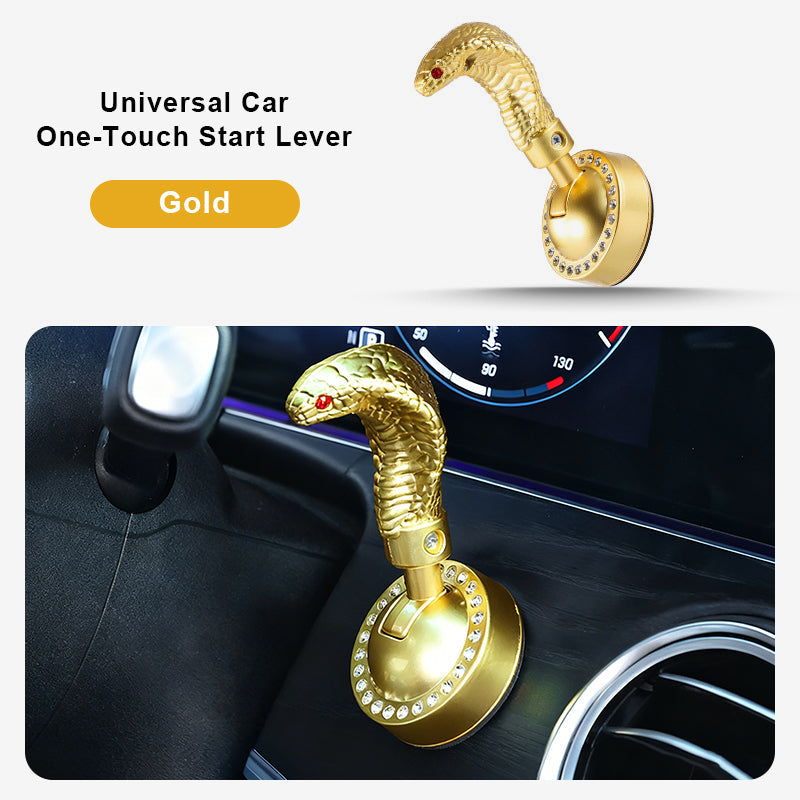 Ormformad bilstartspak med en knapp