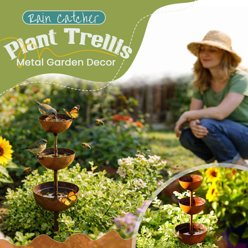 🌧️ Rainwater collector – plant support🐦 Metal garden ornament