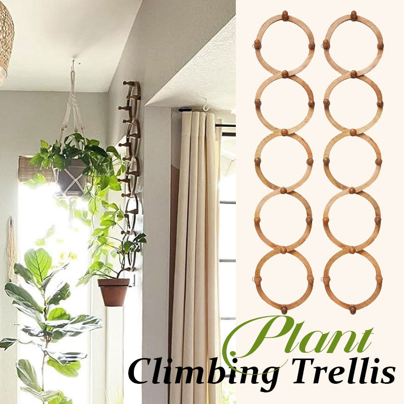 Plant Climbing Frame