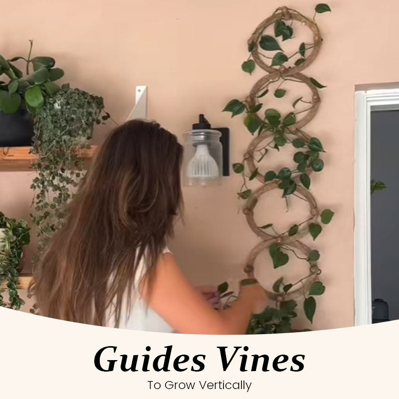 Plant Climbing Frame