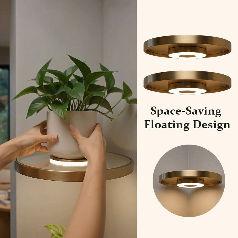 LED Floating Wall Shelf – Modern Plant Display Shelf with Warm Ambient Light