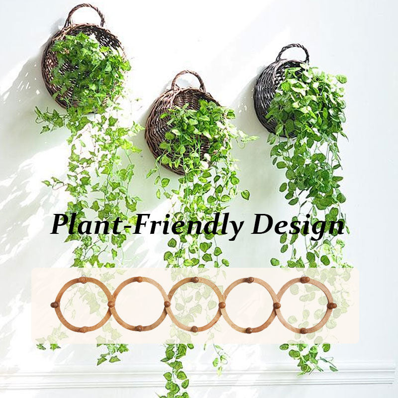 Plant Climbing Frame