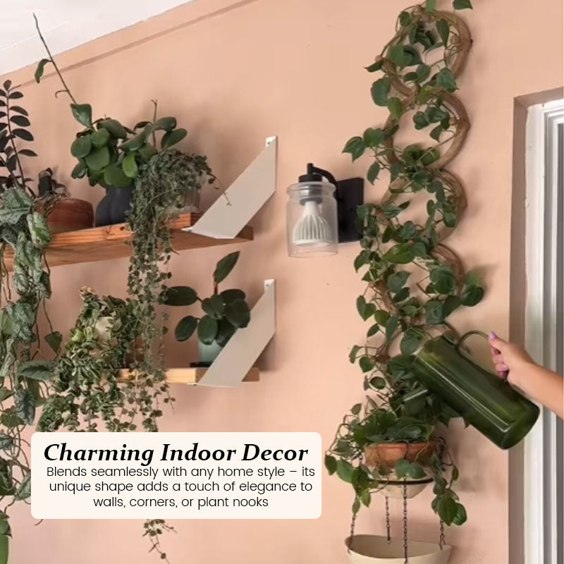 Plant Climbing Frame