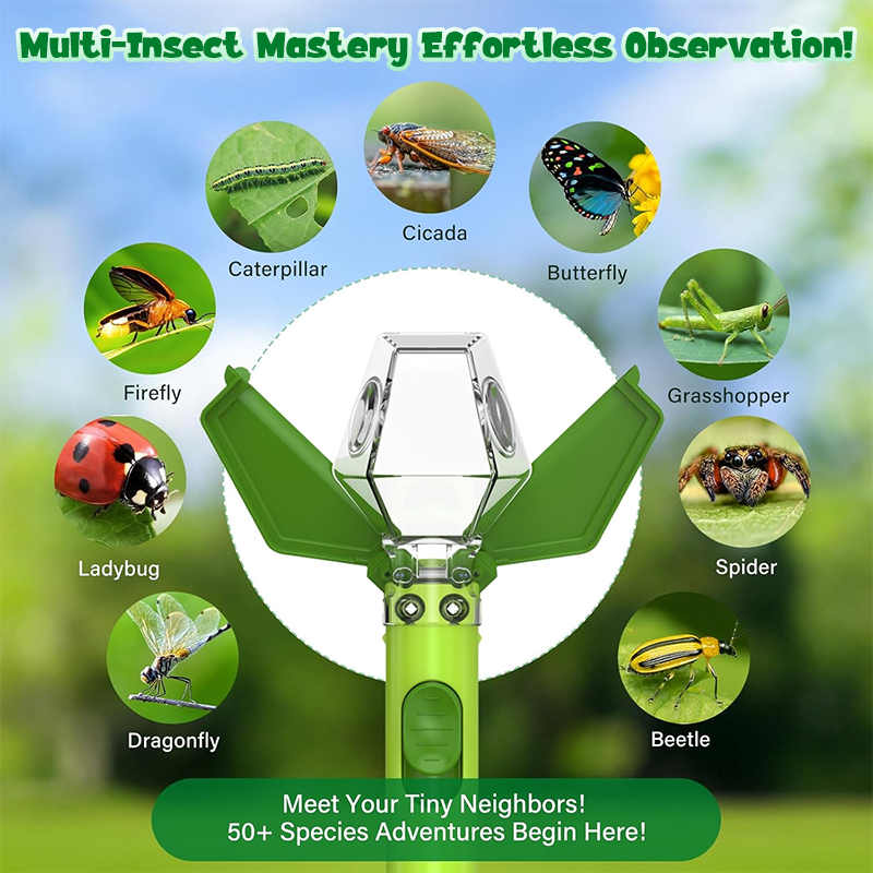 Kids’ 6X Magnifying Bug Catcher & Viewer