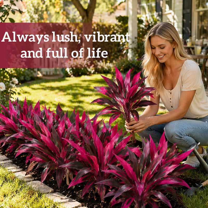 Artificial Cordyline