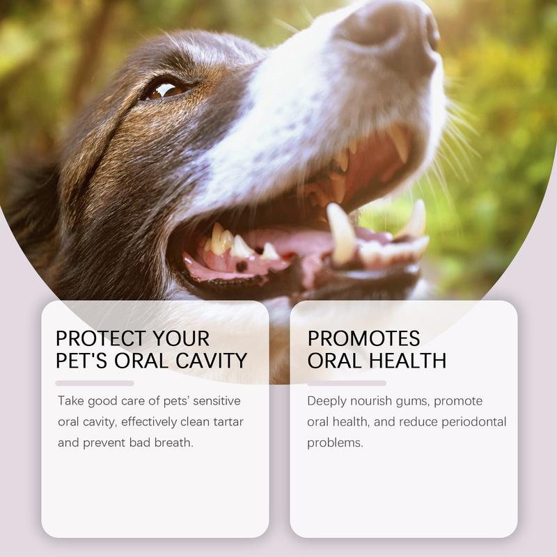 Pet Teeth Cleaning Pen – Portable Dog & Cat Dental Care Brush for Fresher Breath and At-Home Oral Hygiene